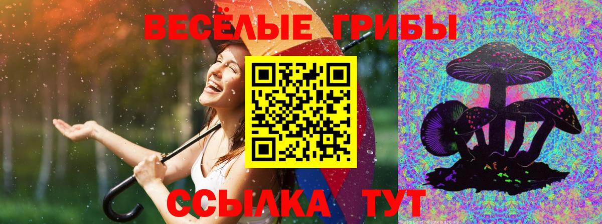 Галлюциногенные грибы мицелий  Вход с VPN  Галлюциногенные грибы GOLDEN TEACHER  закладка  Новозыбков 