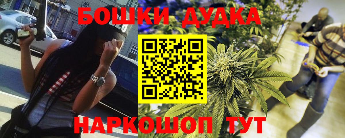 Канабис семена Новозыбков